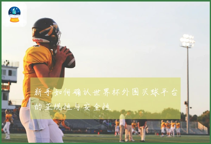 新手如何确认世界杯外围买球平台的正规性与安全性