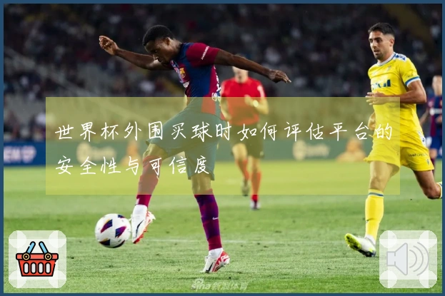 世界杯外围买球时如何评估平台的安全性与可信度