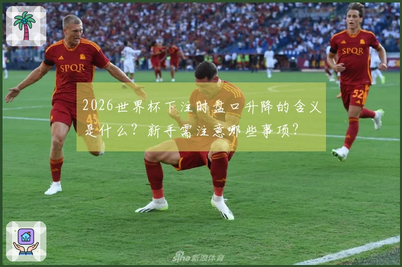 2026世界杯下注时盘口升降的含义是什么？新手需注意哪些事项？