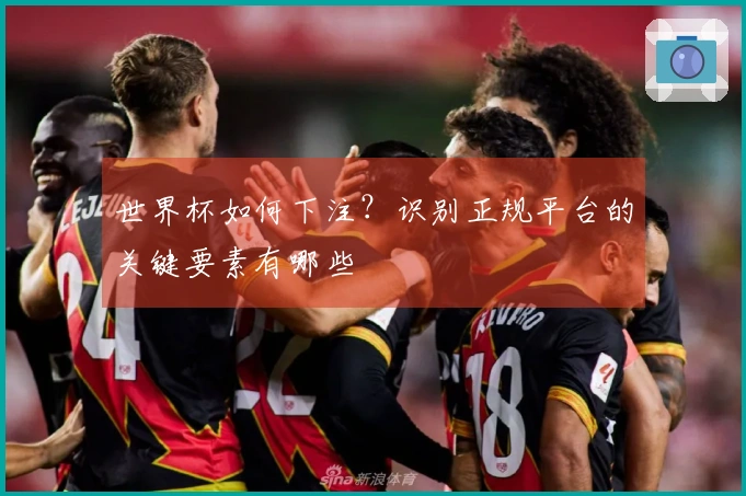 世界杯如何下注？识别正规平台的关键要素有哪些