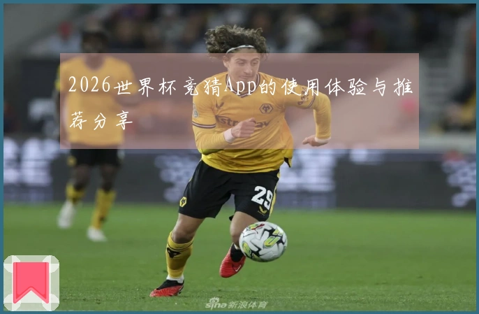 2026世界杯竞猜App的使用体验与推荐分享