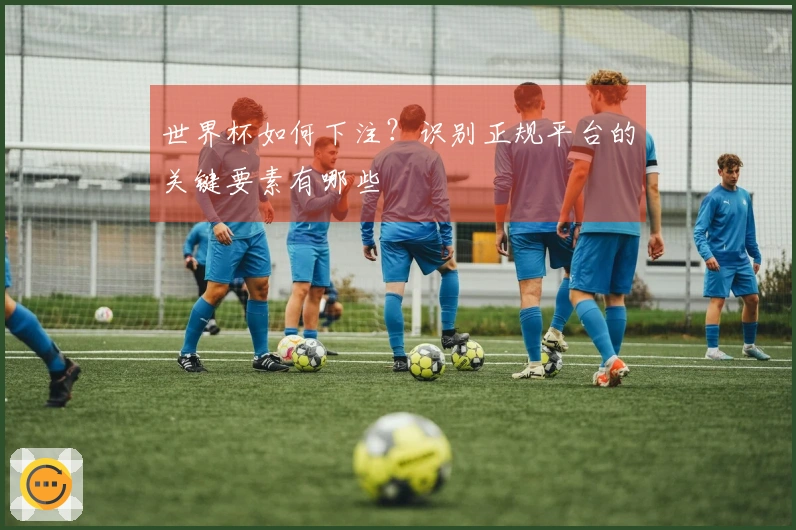 世界杯如何下注？识别正规平台的关键要素有哪些
